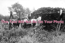 SO 1574 - Turf Peat Cutting