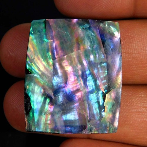 15cts natural rare - rare, abalone