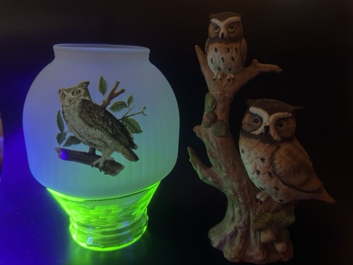 Westmoreland owl fairy - owl,