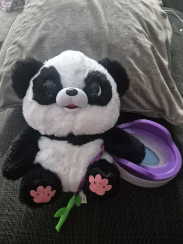 Little live pet - little,
