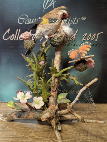 Country artists goldfinch - artists, of