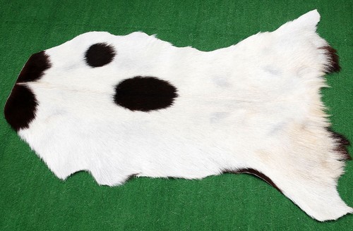 Luxury goat hide - luxury,
