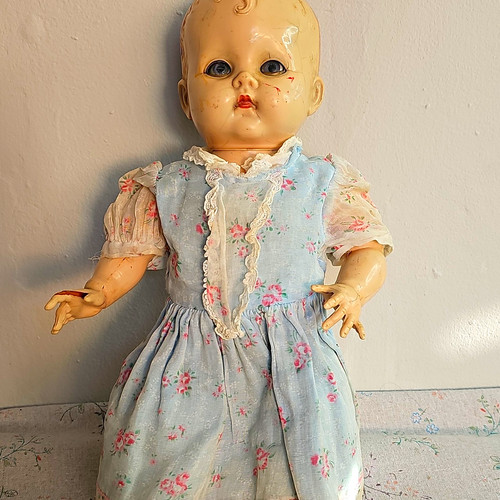 Vintage 1950s pedigree england - vintage,