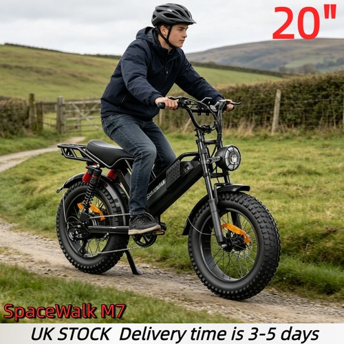 Fat tire electric bike - tire,