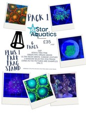 ?Starter Soft Coral Pack x6 Frags GSP, Cabbage, Organ pipe Zoa x2, Kenya PACK 1