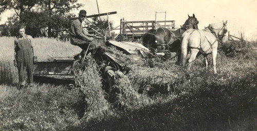 Rppc horse drawn farm - drawn,