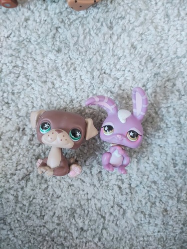 Authentic littlest pet shop - authentic,