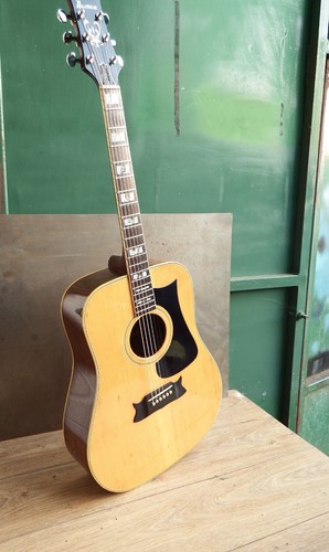 Acoustic guitar rare - guitar,