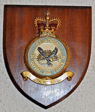 20 Squadron Royal Air Force