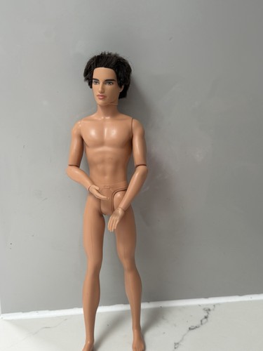 Barbie doll ryan - ryan, fashionistas