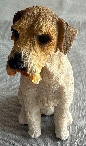 Wirehair fox terrier - fox,