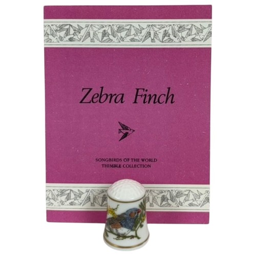 Songbirds the world zebra - the, "zebra