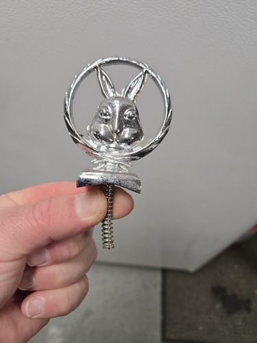 Rare bunny rabbit ears - rare,