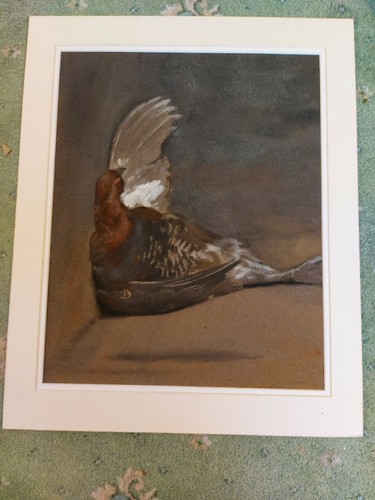 20th century watercolour still - watercolour,