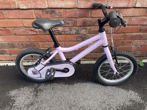 Ridgeback honey junior kids - honey,