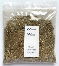 Dried Wormwood Herb For Casting Witches Spells Incense Burning Pagan Wiccan
