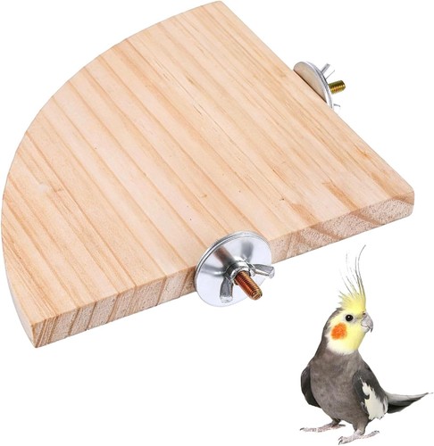 Bird perch platform - bird,