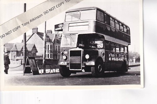 Eastern national leyland - eastern,