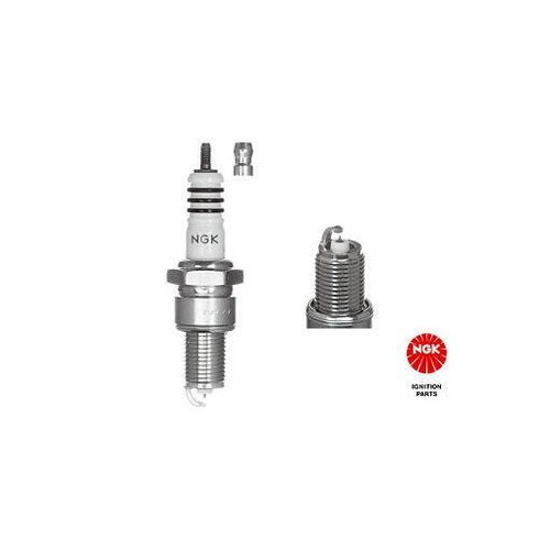 6597 ngk spark plug - ngk,
