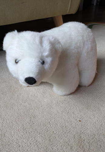 Cuddly polar bear soft - cuddly,