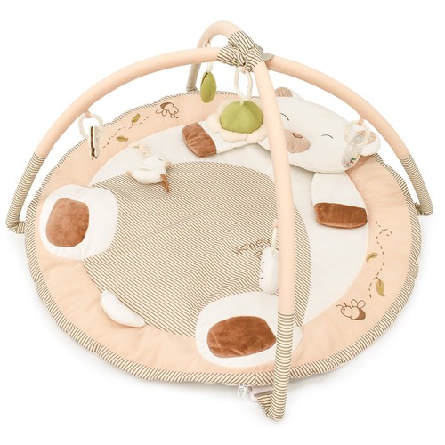 Baby play gym activity - gym, playmat