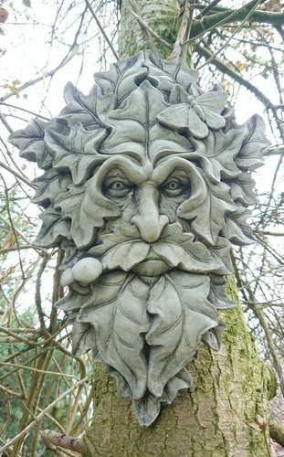 Stone garden ivy leaf - ivy, green