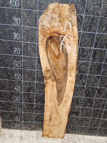 English walnut slab - english, edge