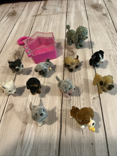 Puppy pocket - puppy,