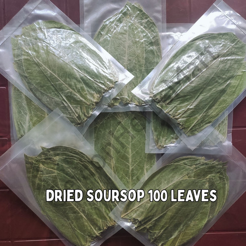100 dried soursop graviola - 100,