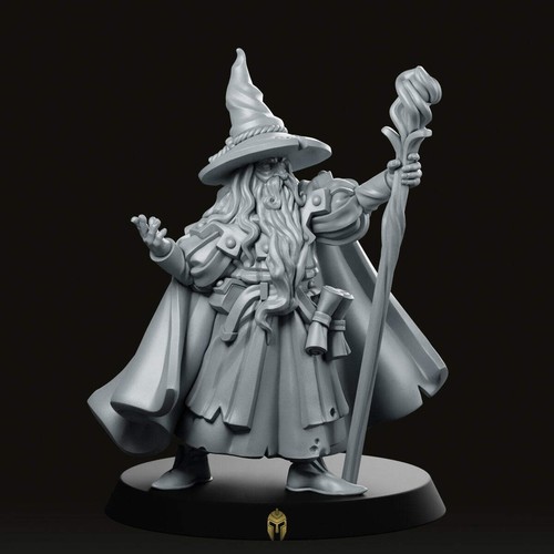 The wizard fantasy miniature - fantasy,