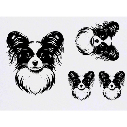 Papillon dog temporary - x,