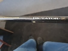 Daiwa amorphous whisker rod