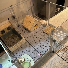 XXL Anti-bite Acrylic Dog