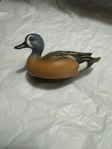Jett brunet miniature - miniature, ducks