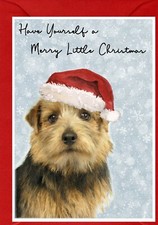 Norfolk Terrier Dog A6 (4"x 6") Christmas Card (Blank inside) by Starprint
