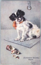 TUCK Vtg Postcard JAPANESE