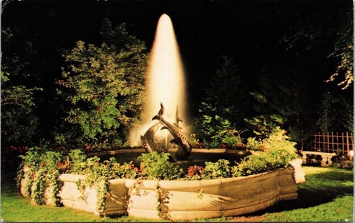 Dolphin fountain night - dolphin,