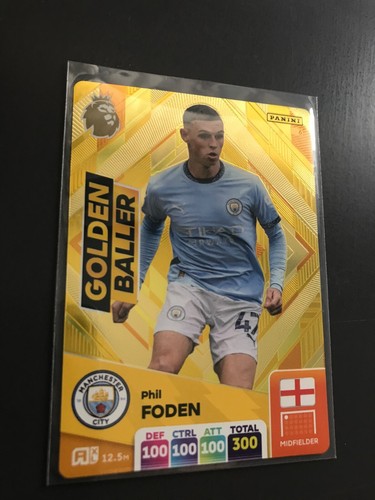 Panini adrenalyn premier - xl,