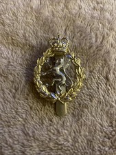 Women's Royal Army Corps WRAC Anodised Staybrite A/A Cap Badge Gaunt Birmingham