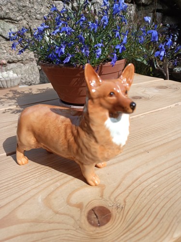 Beswick welsh pembrokeshire - beswick,