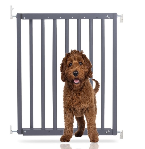 Bettacare dog stair - bettacare,