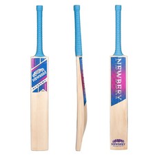 2026 newbery academy grade - newbery, 3