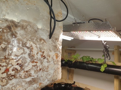 Co2 generator grow tent - tent, |