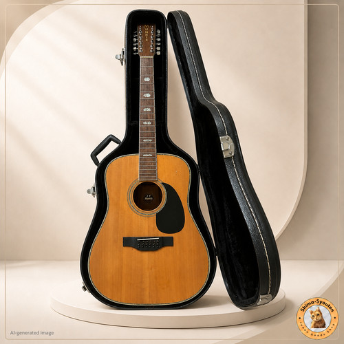Morris string acoustic - morris, b-60