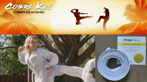 Cobra kai screen used karate - cobra,