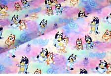 (C) Various Bluey Cartoon Dog