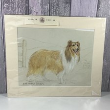 Rough Collie Print by Gill