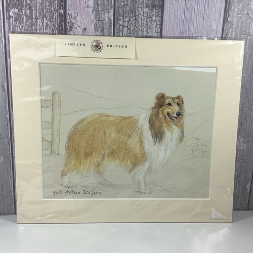 Collie dog print gill - collie,