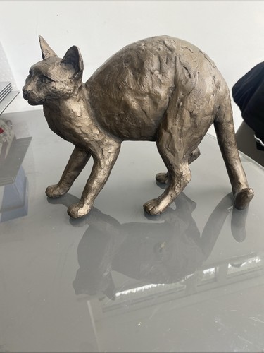Beautiful frith cat - frith,