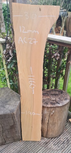 Live edge blue atlantic ceder - edge,